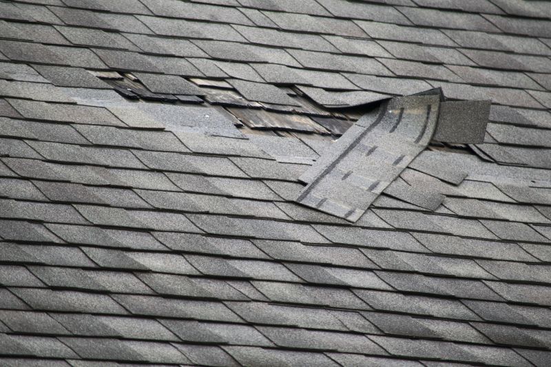 Damaged Shingle Repair